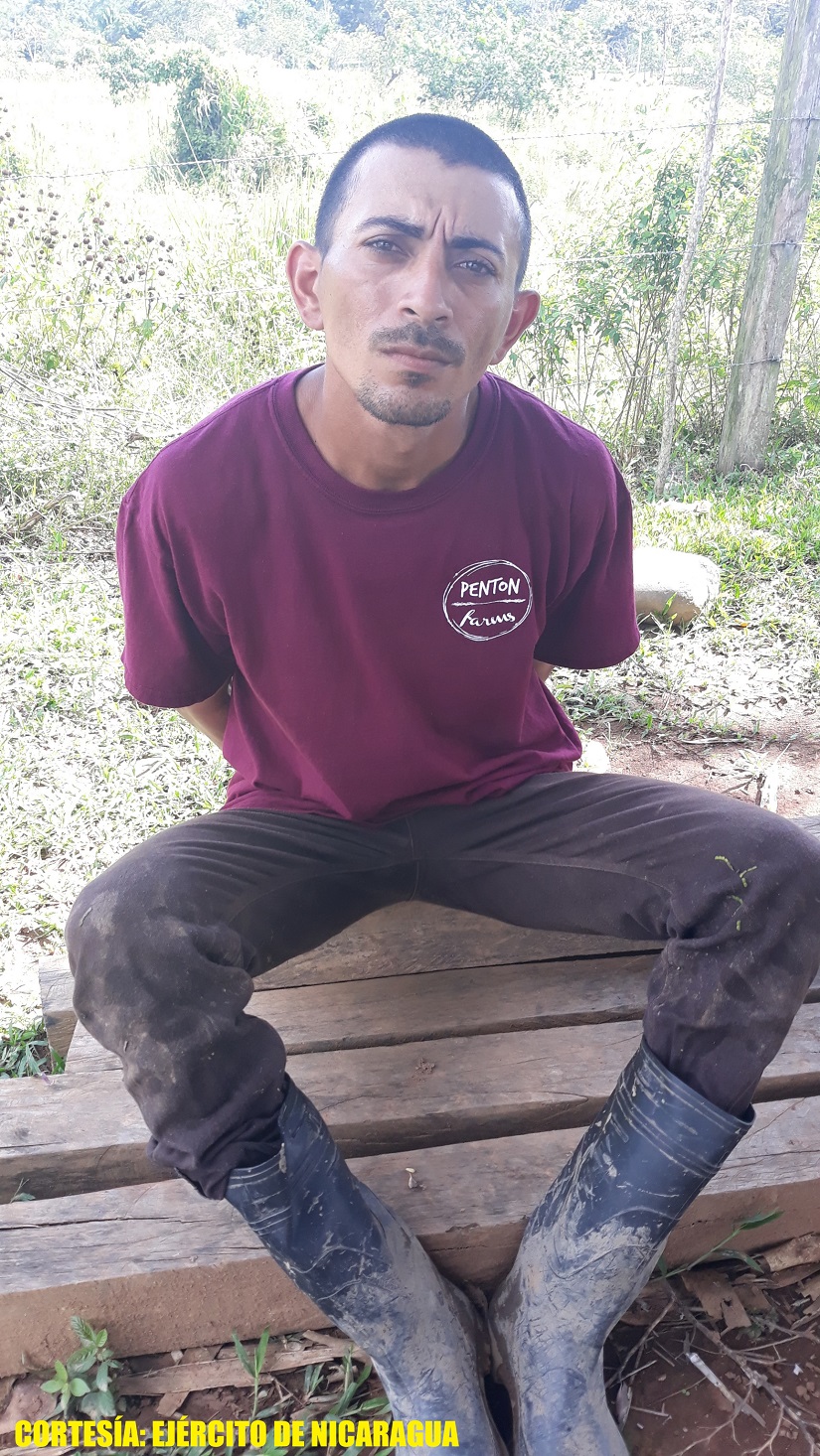 ganado2